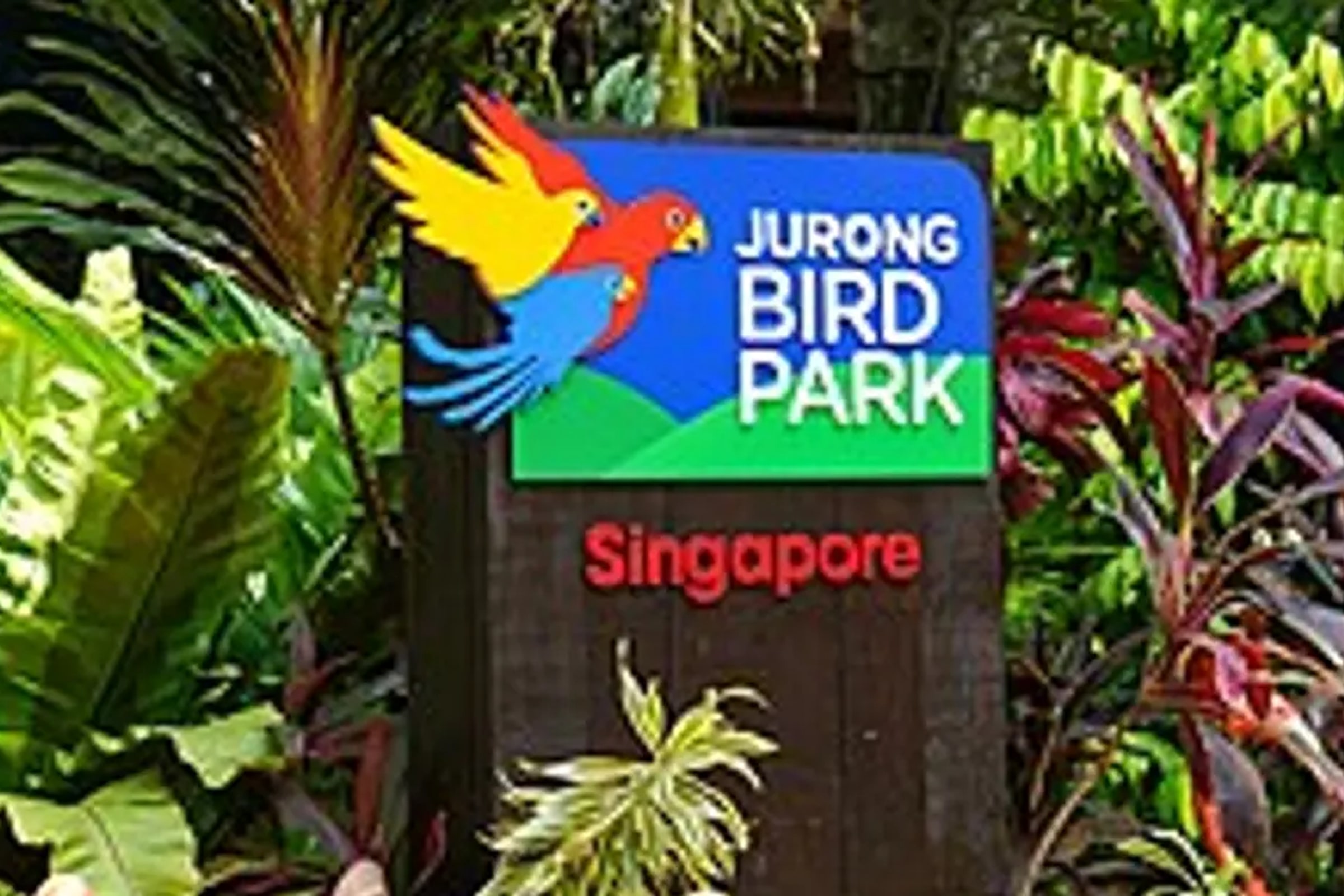 Jurong Bird Park Admission Ticket